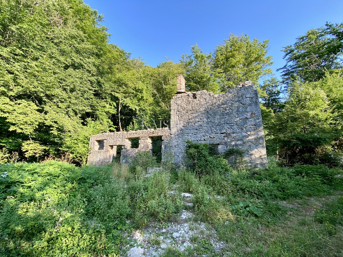 Kuća Na prodaju - PRIMORSKO-GORANSKA OPATIJA