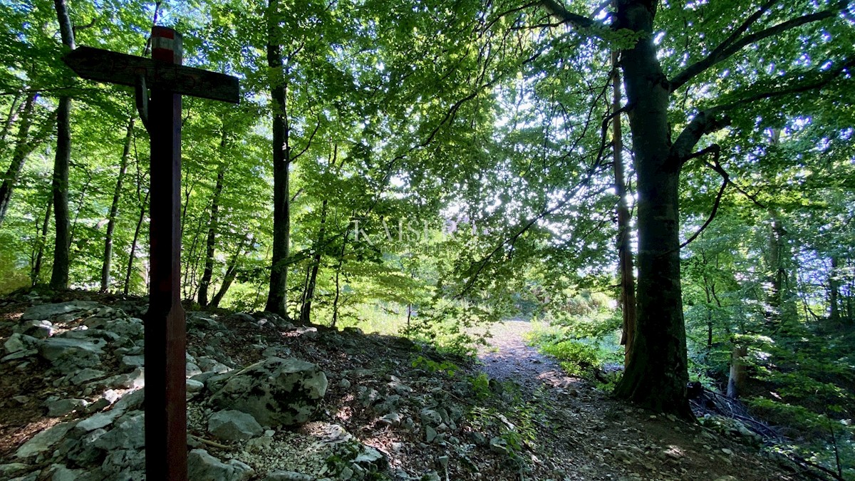 Kuća Na prodaju - PRIMORSKO-GORANSKA OPATIJA