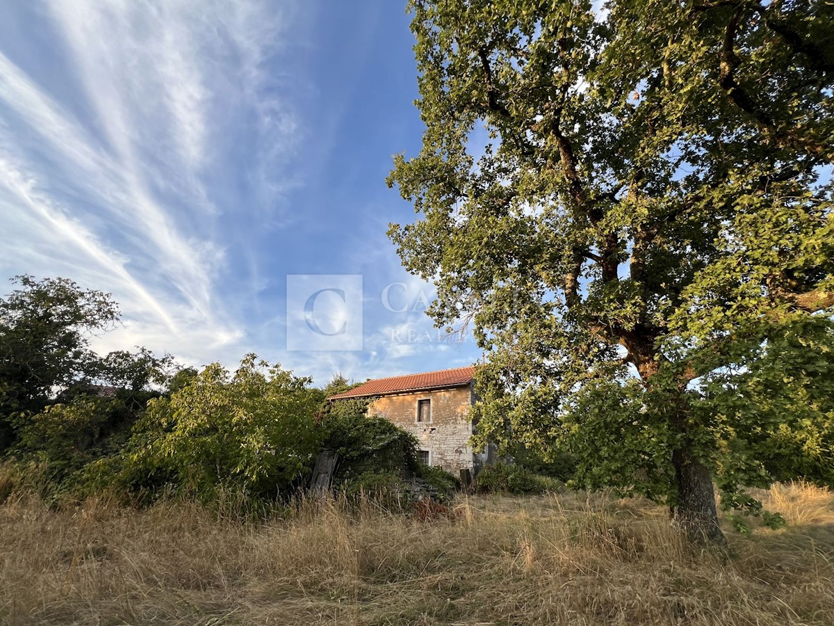 Land For sale - ISTARSKA OPRTALJ