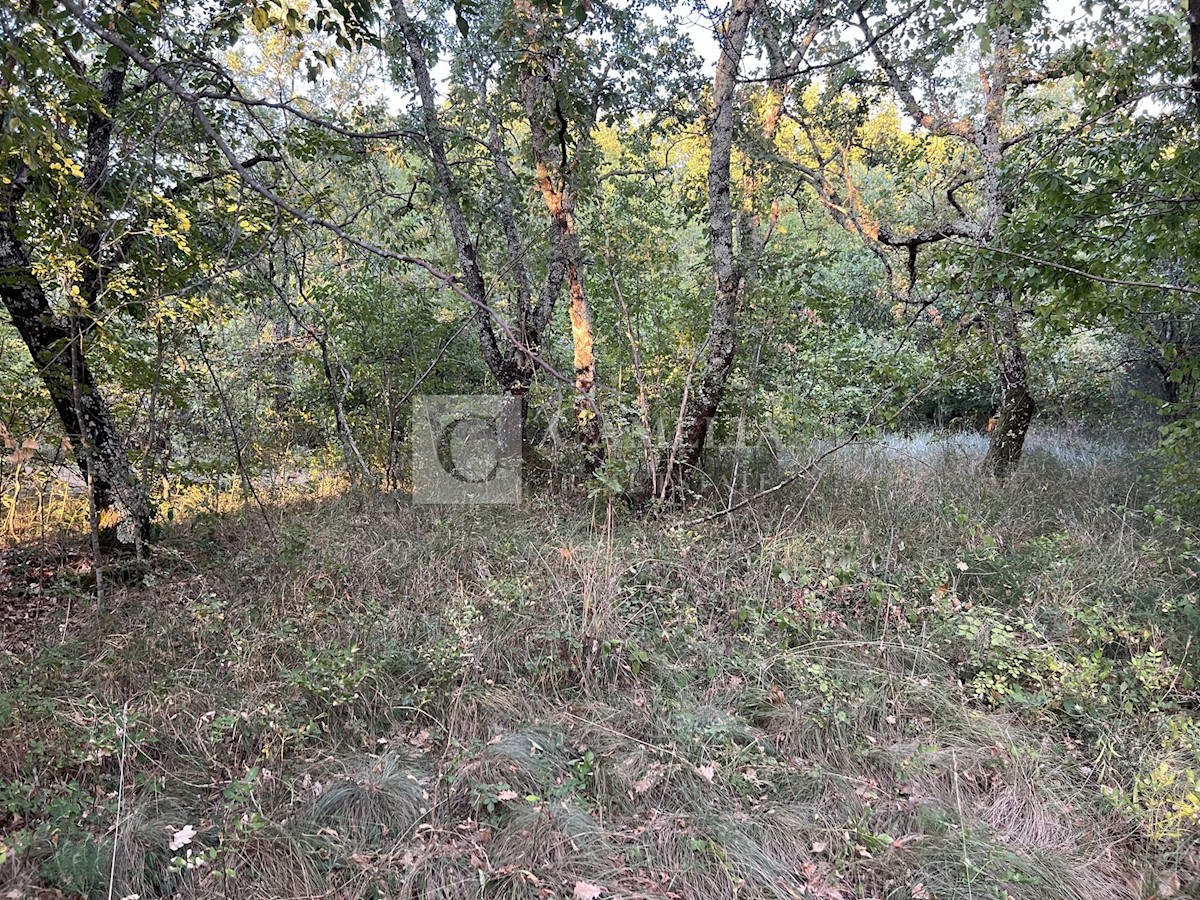 Land For sale - ISTARSKA OPRTALJ