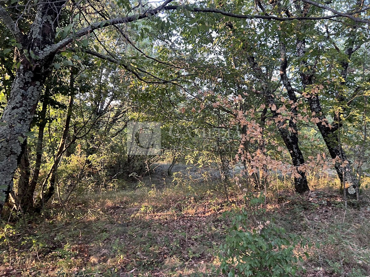 Land For sale - ISTARSKA OPRTALJ