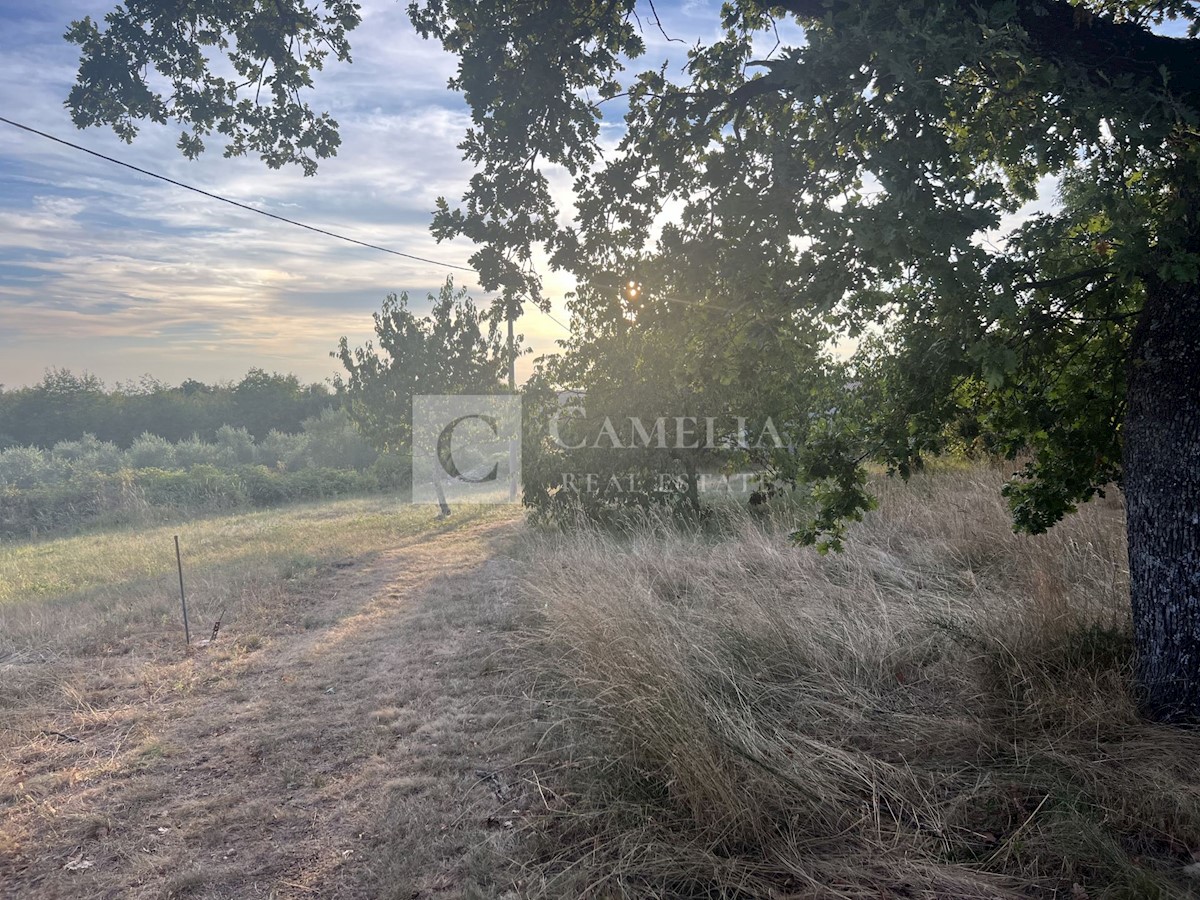 Land For sale - ISTARSKA OPRTALJ