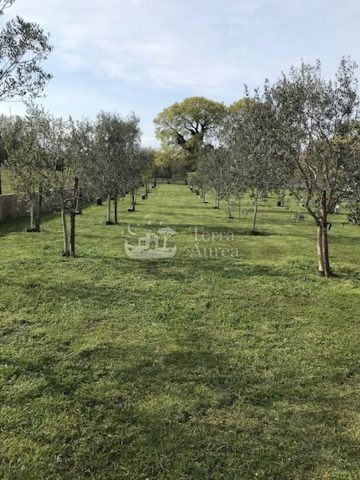 Pozemek na prodej 2670 m² – Malinska