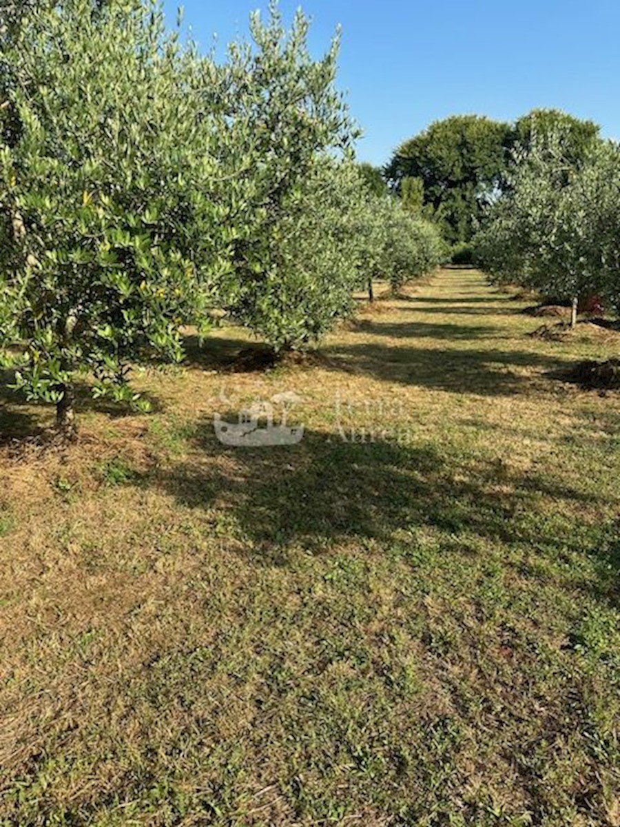 Terrain À vendre - Primorsko-goranska Krk - foto 2/2