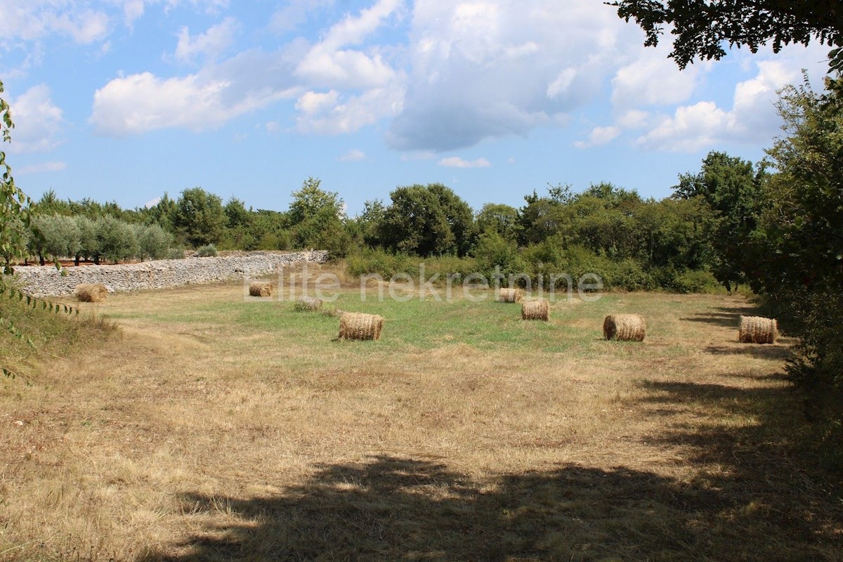 Zemljište Na prodaju - ISTARSKA MARČANA