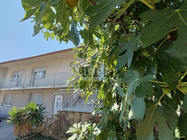 Casa in vendita 400 m² – Grbci