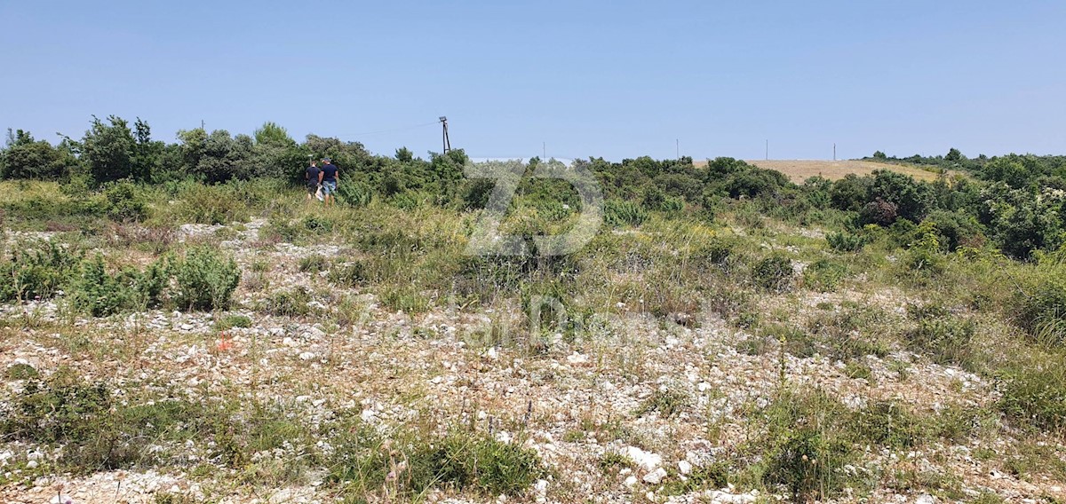 Land For sale - Zadarska Polača - foto 3/12