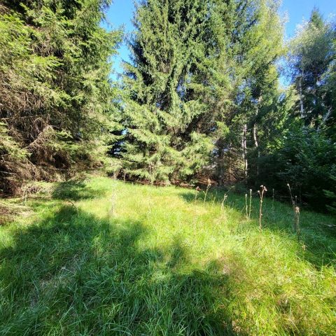 Grundstück zu verkaufen 2000 m² – Hlevci