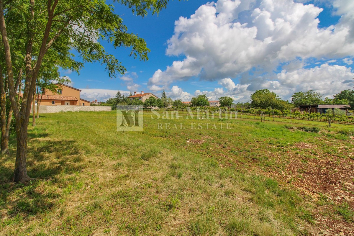 Terreno In vendita - ISTARSKA ŽMINJ