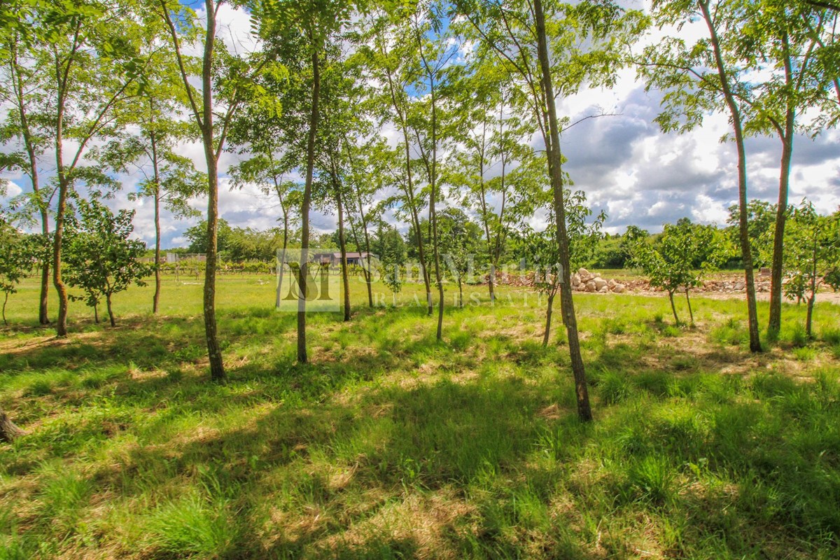 Terreno In vendita - ISTARSKA ŽMINJ