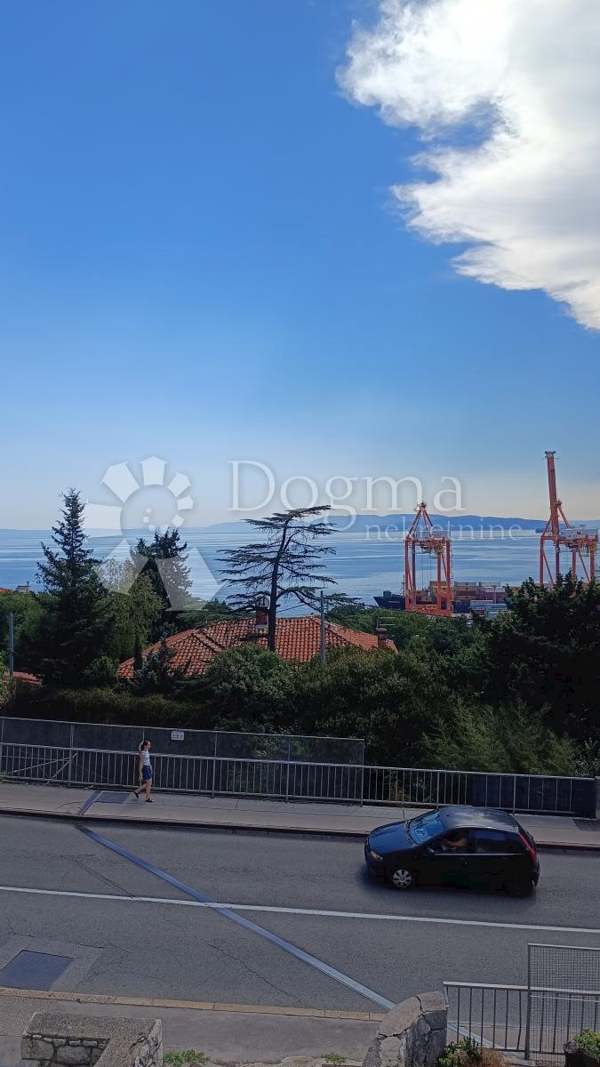 Flat For rent - PRIMORSKO-GORANSKA RIJEKA