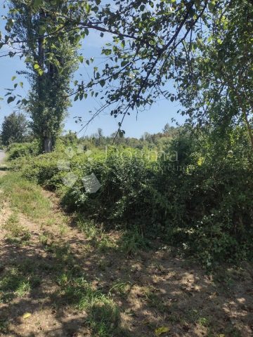 Terrain à vendre 126888 m² – Svinica