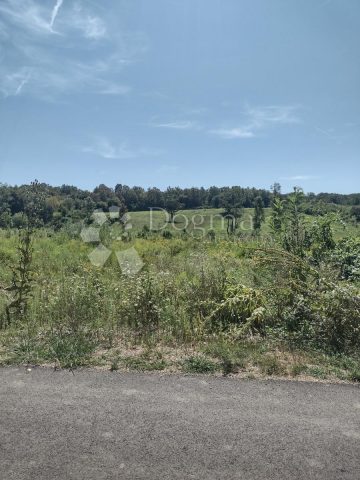 Parcela Naprodaj - Sisačko-moslavačka Majur - foto 3/9