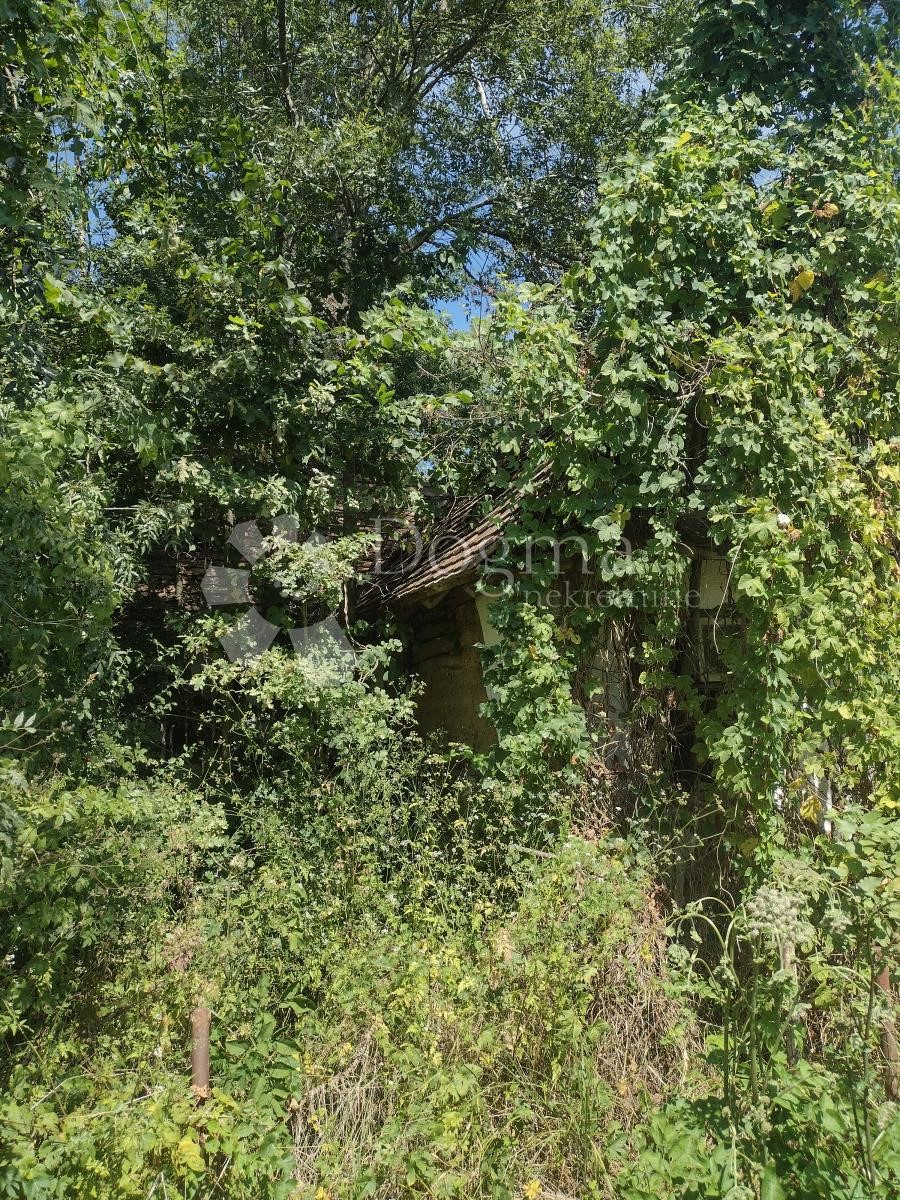 Terrain À vendre - Sisačko-moslavačka Majur - foto 2/8