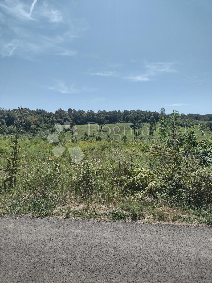 Terrain À vendre - Sisačko-moslavačka Majur - foto 3/8