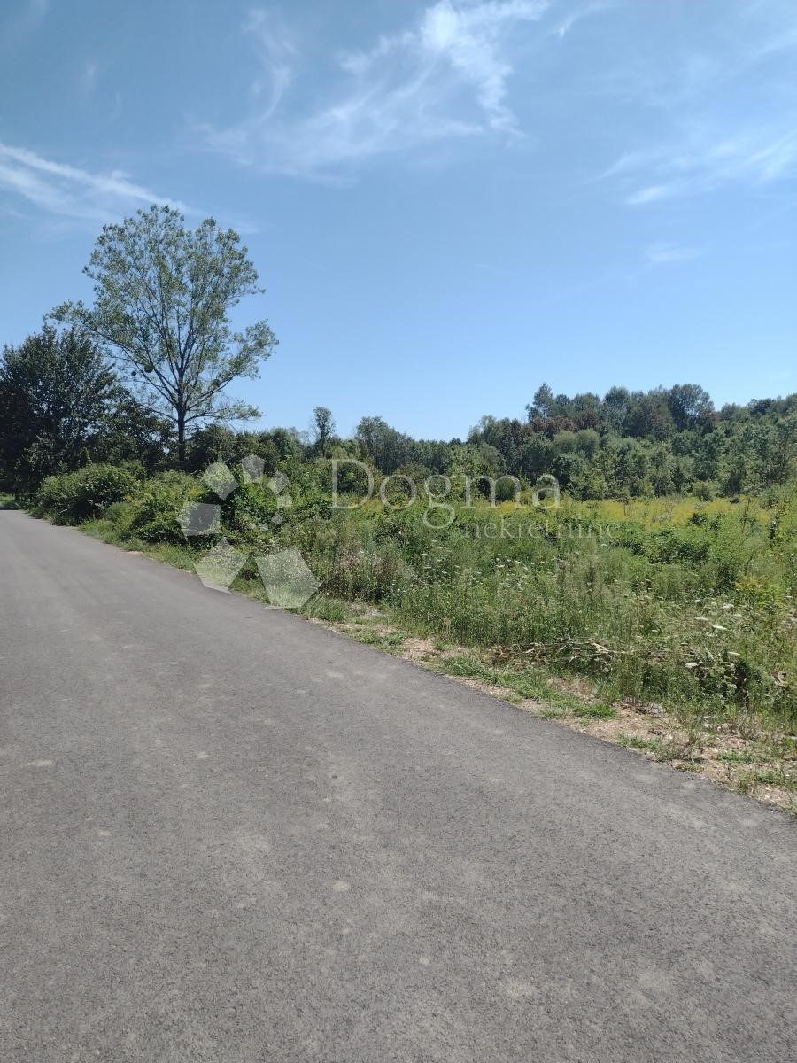 Terrain À vendre - Sisačko-moslavačka Majur - foto 4/8