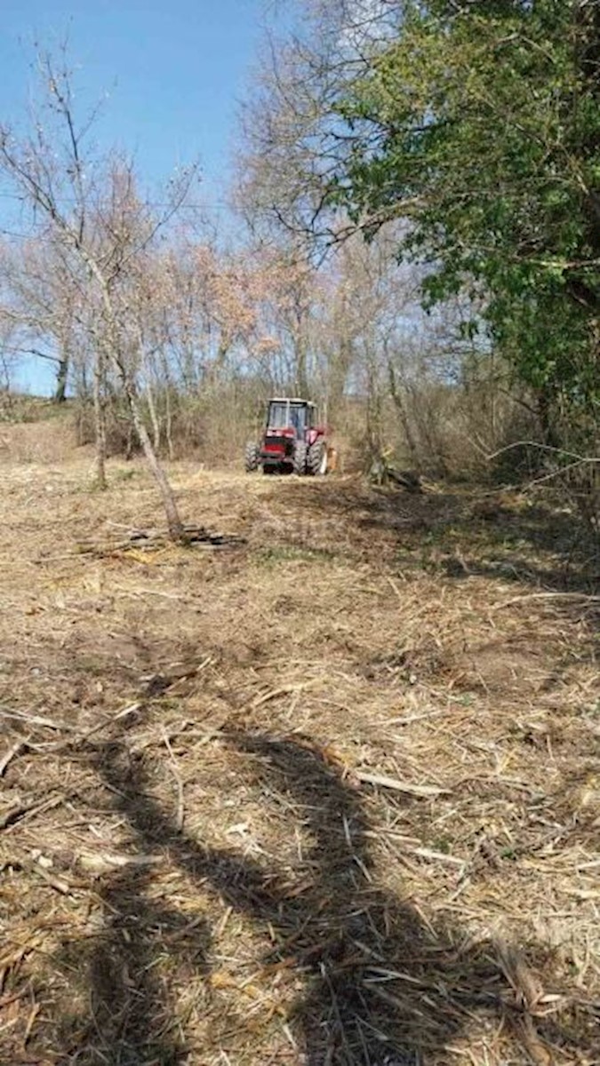 Terreno In vendita - ISTARSKA MOTOVUN