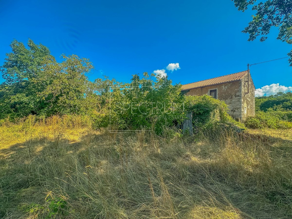 Dom Na predaj - ISTARSKA BUJE