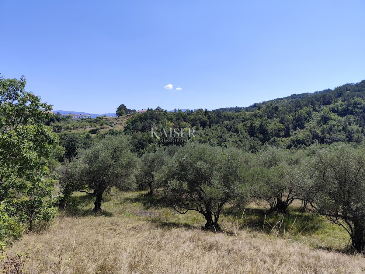 Land For sale - ISTARSKA BUZET