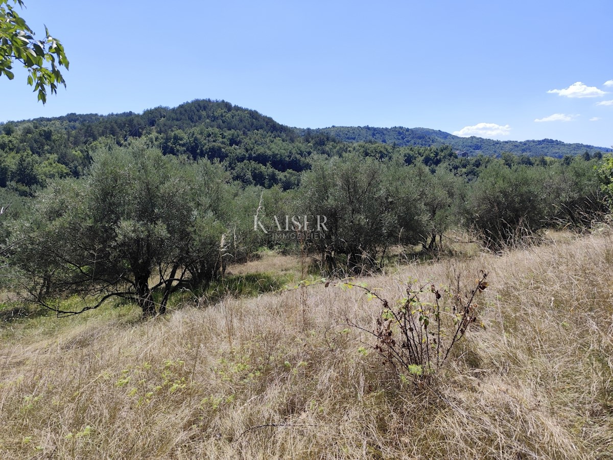 Land For sale - ISTARSKA BUZET