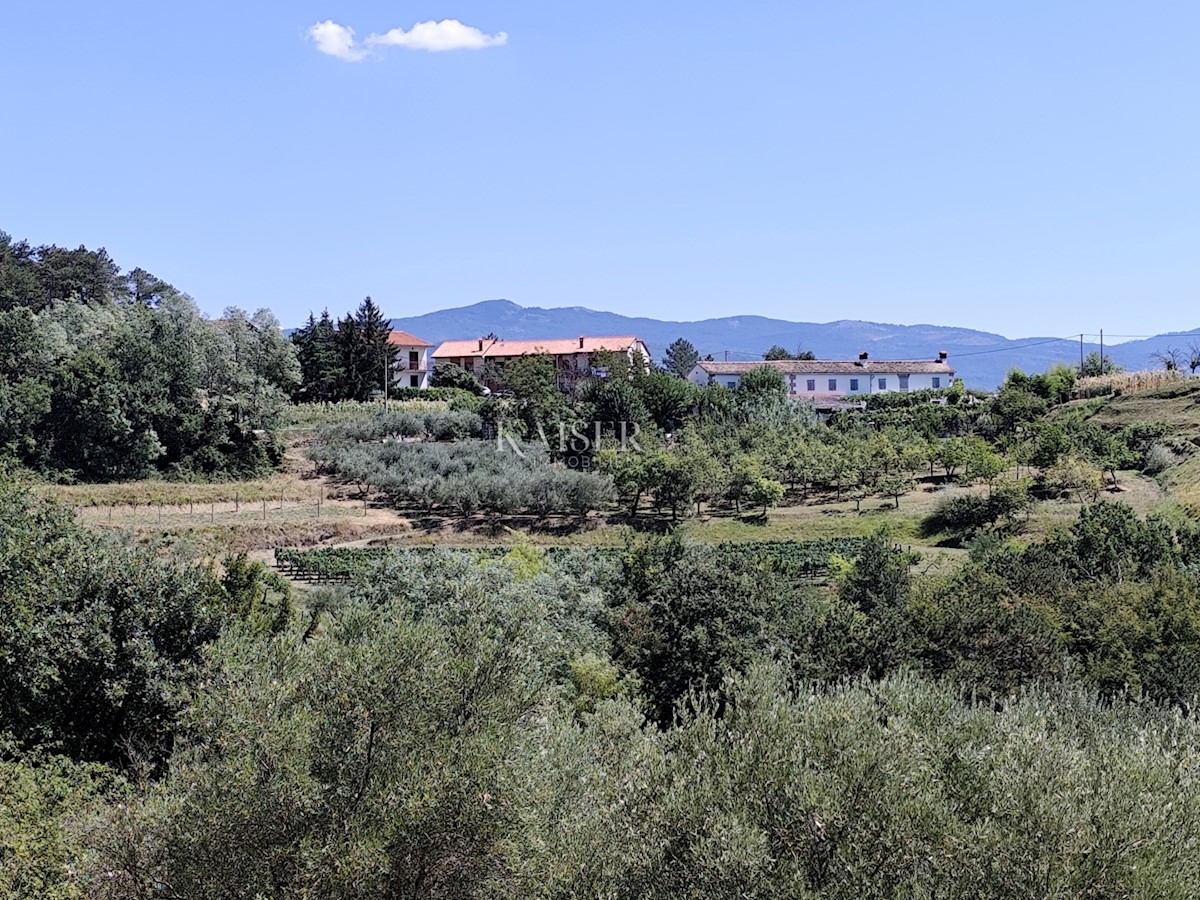 Land For sale - ISTARSKA BUZET