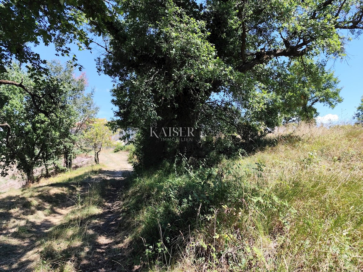 Land For sale - ISTARSKA BUZET