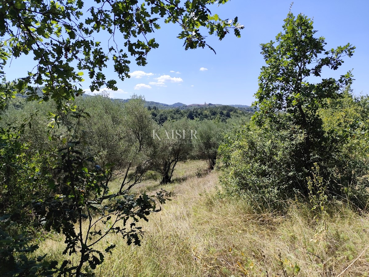 Land For sale - ISTARSKA BUZET