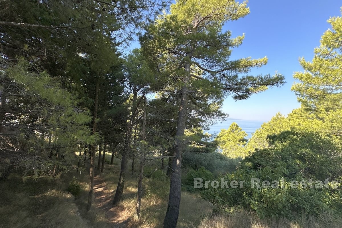 Zemljište Na prodaju - SPLITSKO-DALMATINSKA MAKARSKA