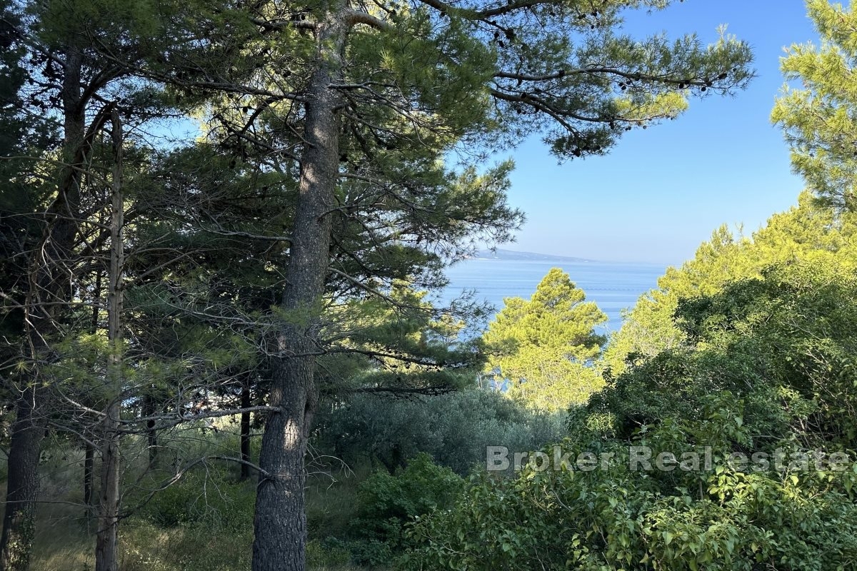 Zemljište Na prodaju - SPLITSKO-DALMATINSKA MAKARSKA
