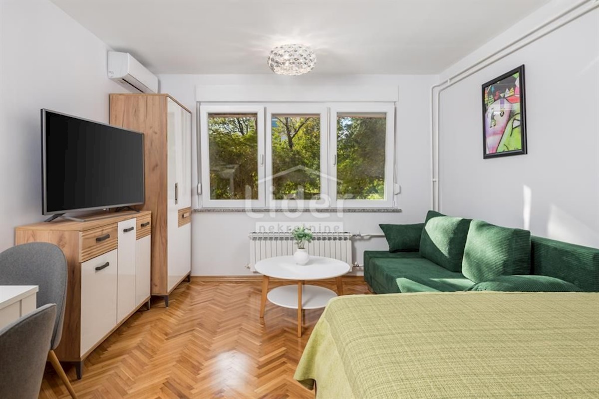 Apartmán K pronájmu - PRIMORSKO-GORANSKA RIJEKA