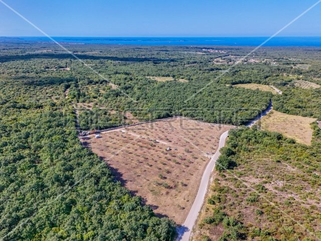 Zemljište na prodaju 13842 m² – Vodnjan