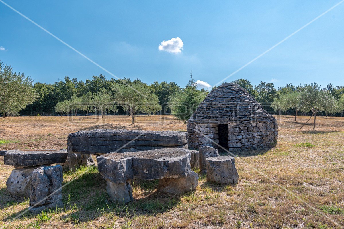 Pozemok Na predaj - ISTARSKA VODNJAN