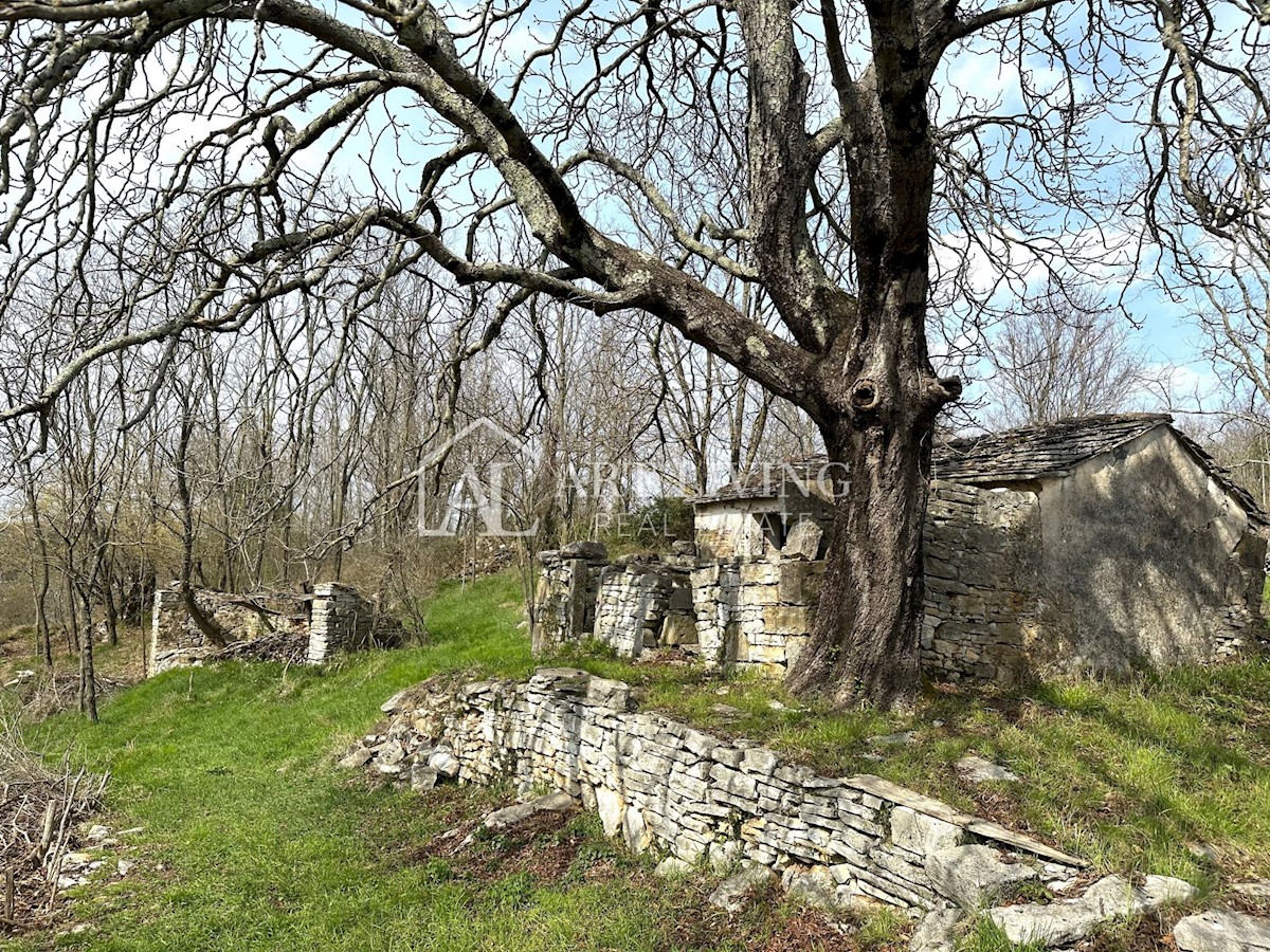 Casa In vendita - ISTARSKA GROŽNJAN