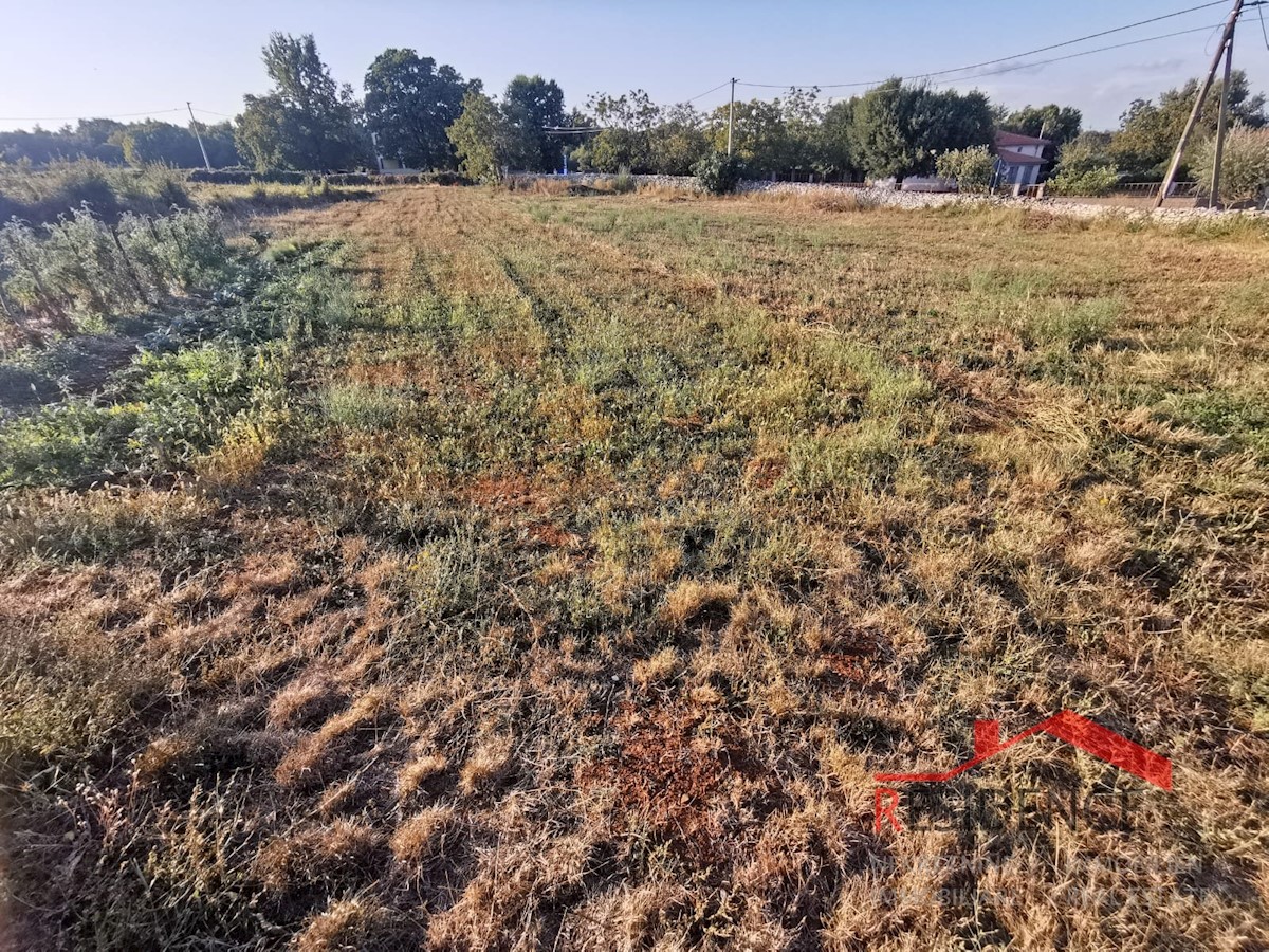 Land For sale ŠAJINI