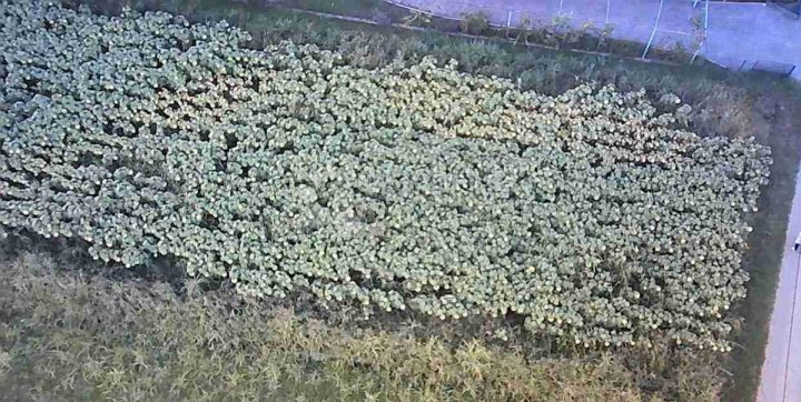 Terreno In vendita - Zagrebačka Jakovlje - foto 2/5