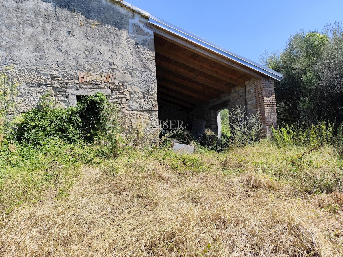 Terrain À vendre - ISTARSKA BUZET