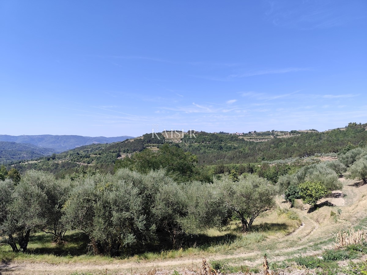 Terrain À vendre - Istarska Buzet - foto 4/26