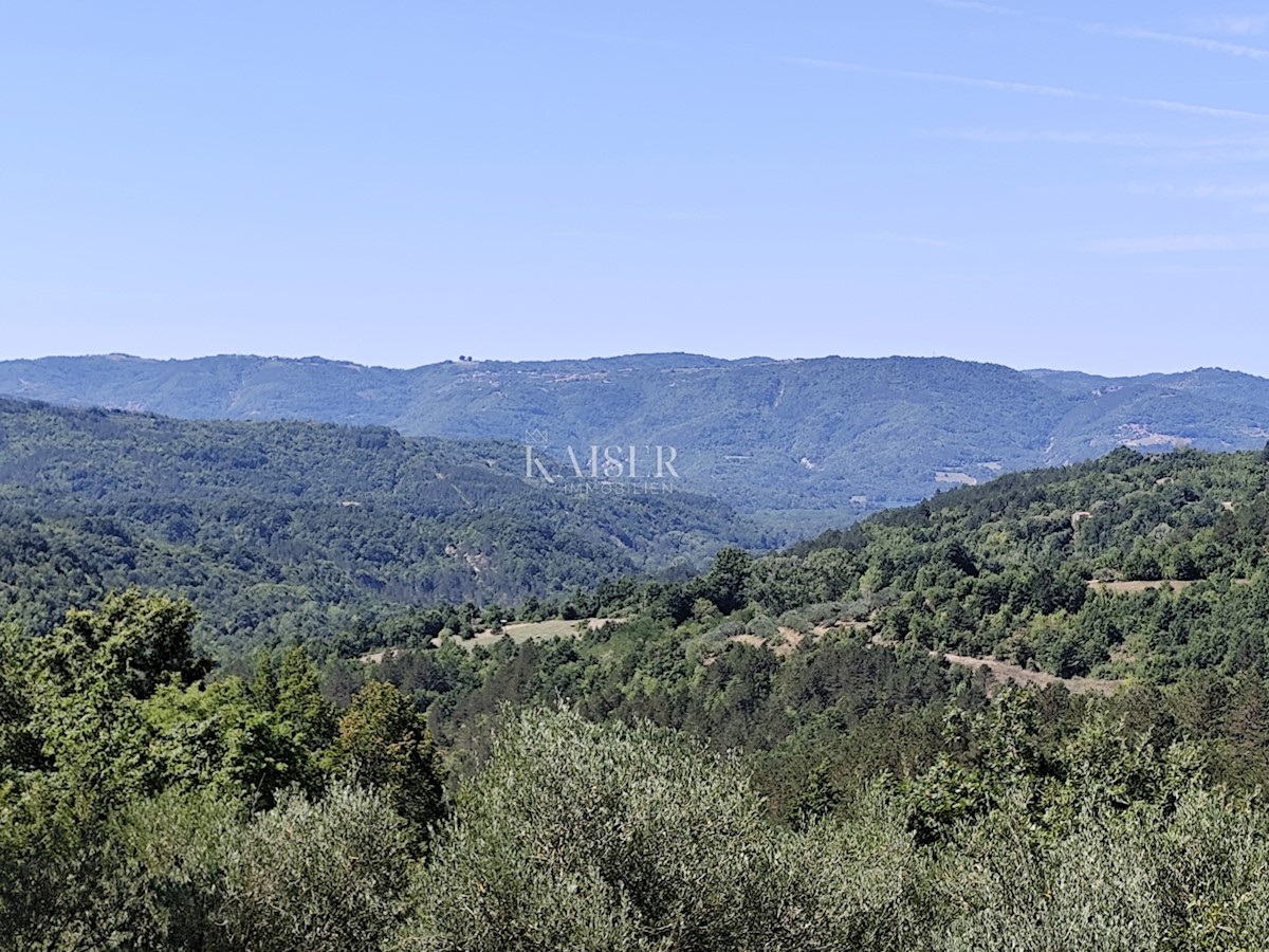 Terrain À vendre - Istarska Buzet - foto 5/26