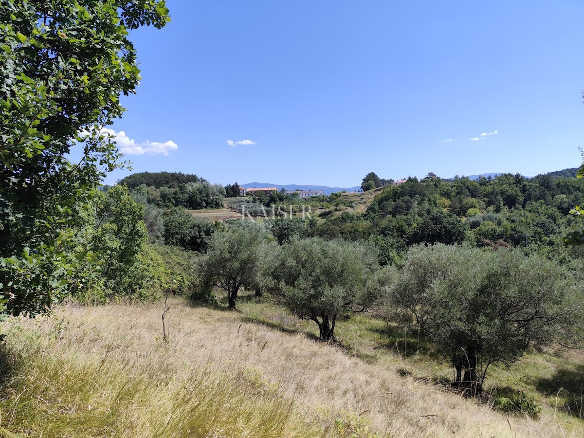 Terrain À vendre - ISTARSKA BUZET
