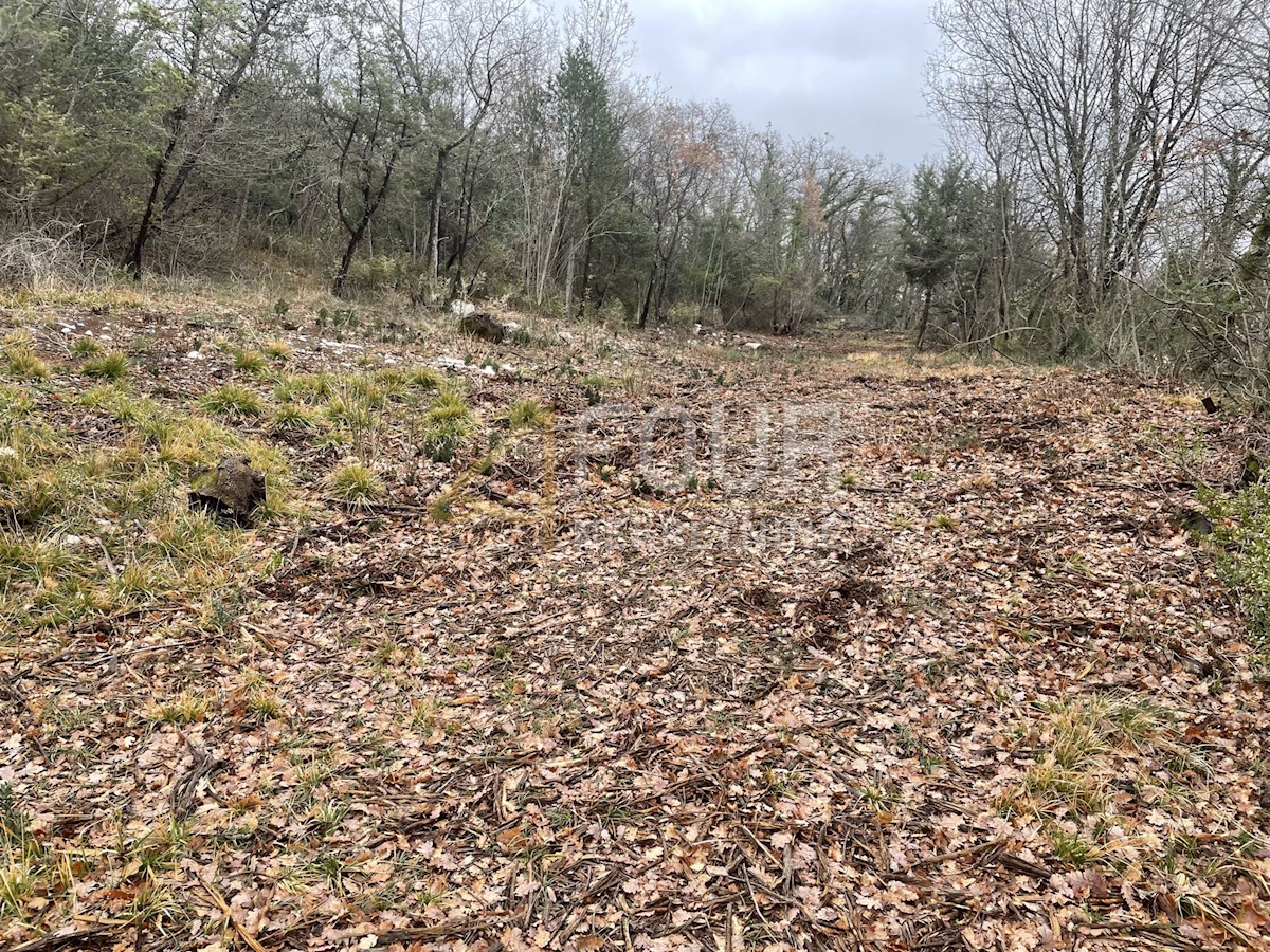 Terreno In vendita - PRIMORSKO-GORANSKA MOŠĆENIČKA DRAGA