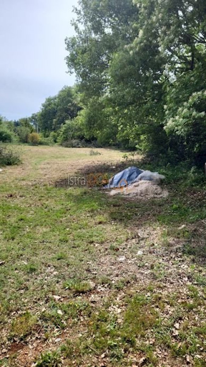 Terreno In vendita - ISTARSKA LIŽNJAN