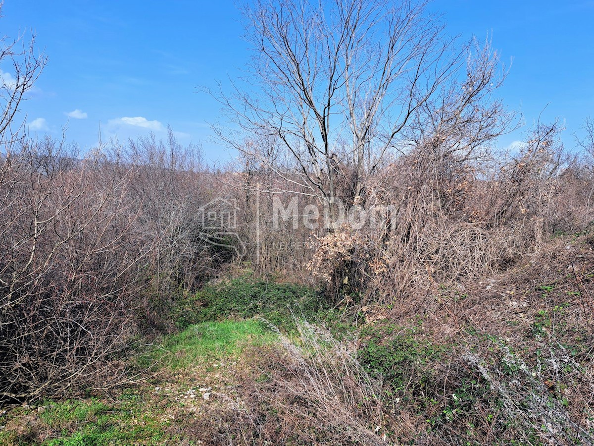 Land For sale - ISTARSKA LABIN