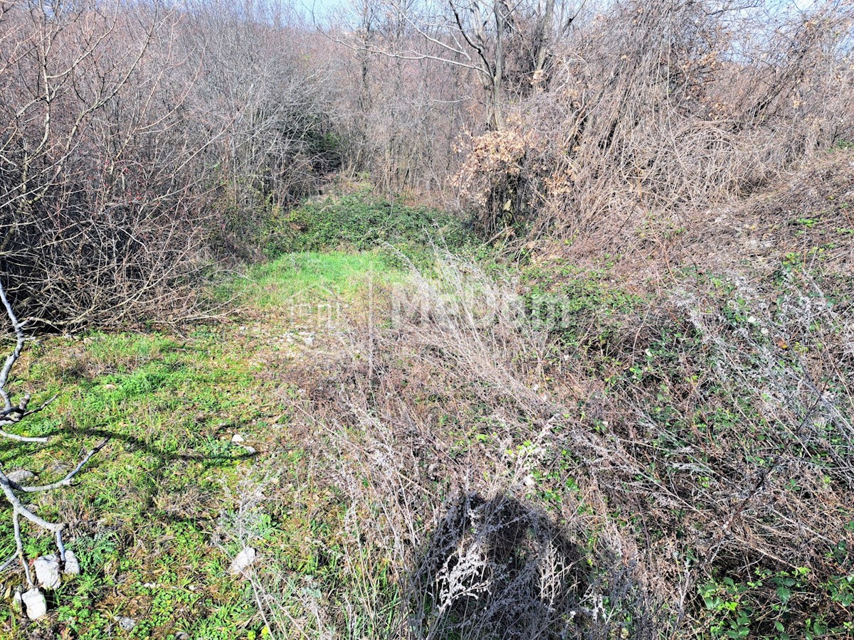 Land For sale - ISTARSKA LABIN