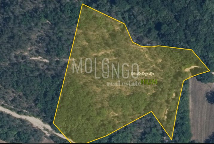 Zemljište na prodaju 59020 m² – Hum