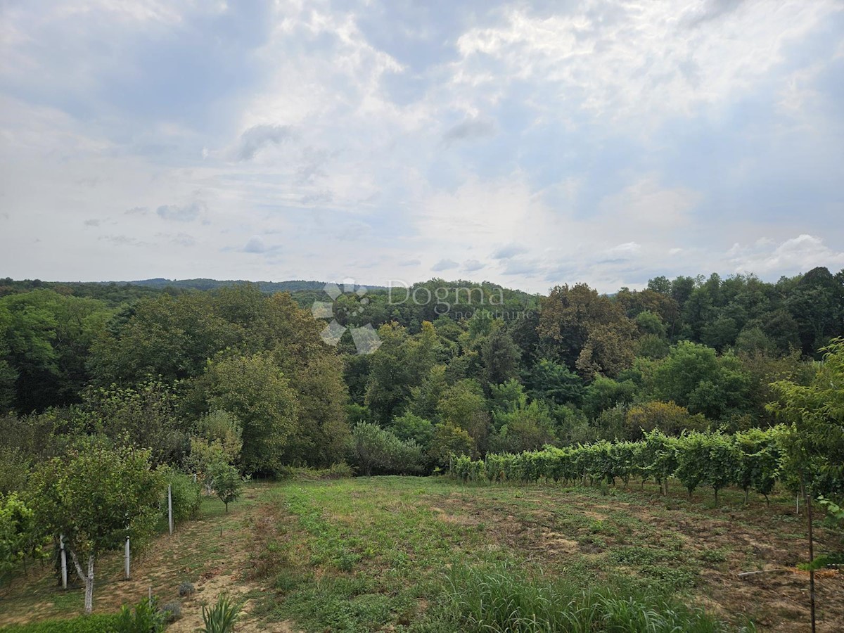 Casa In vendita - VARAŽDINSKA JALŽABET