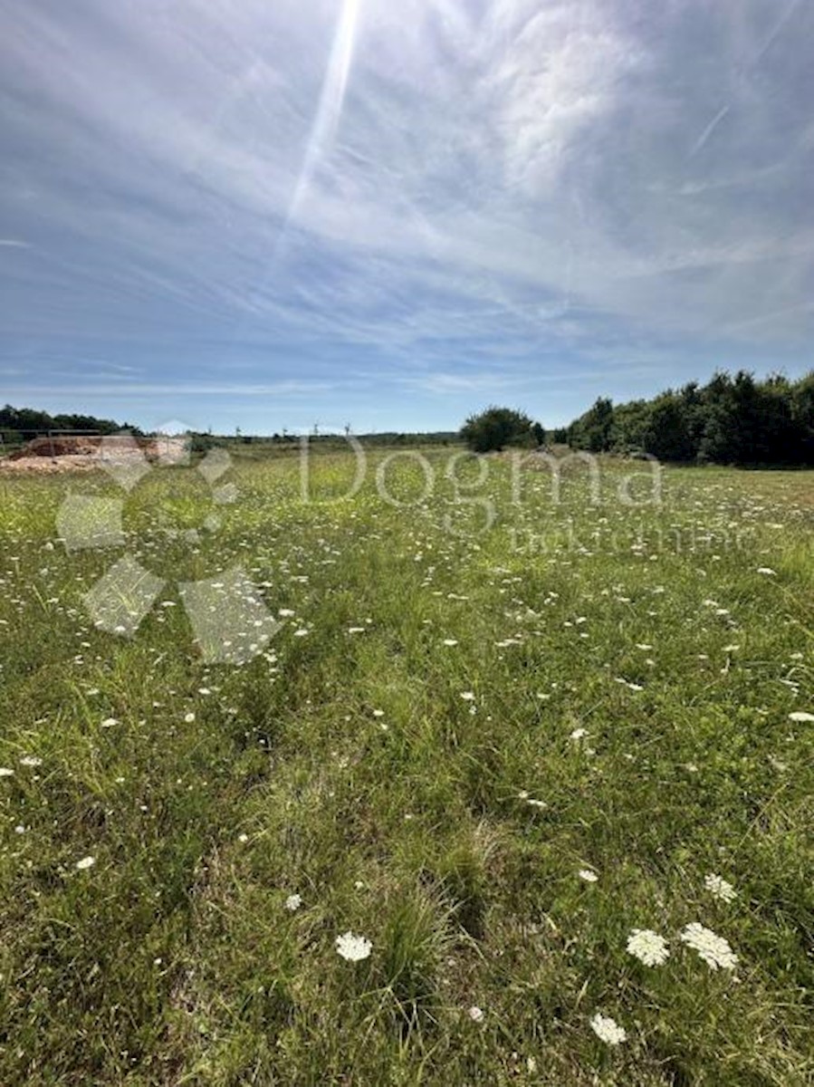 Terreno In vendita - ISTARSKA BARBAN