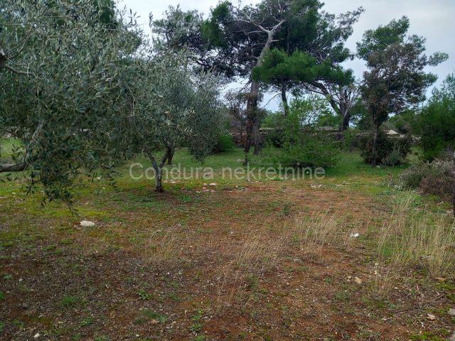 Terrain À vendre - Zadarska Vir - foto 2/4