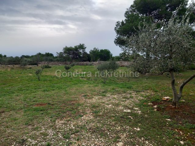 Terrain À vendre - Zadarska Vir - foto 3/4