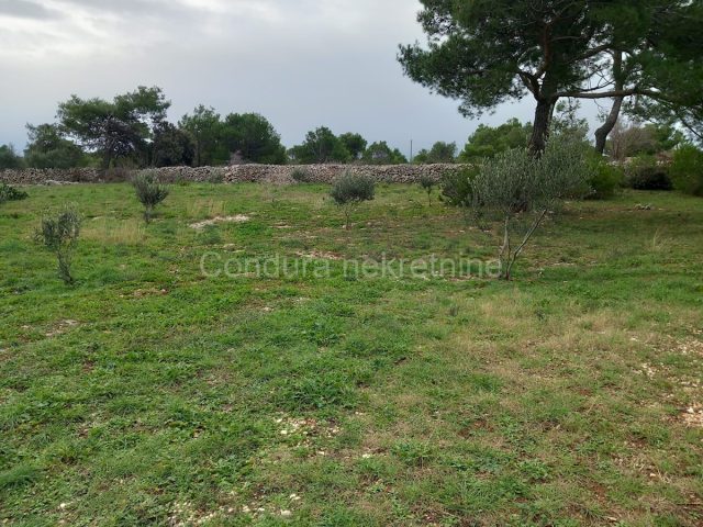 Terrain À vendre - Zadarska Vir - foto 4/4
