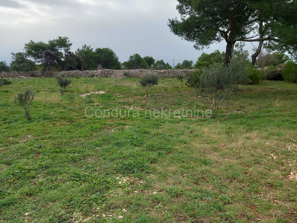 Terrain À vendre - ZADARSKA Vir